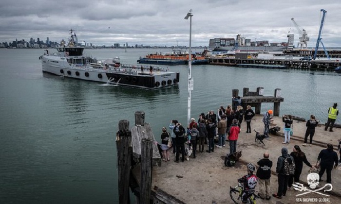 Sea Shepherd activists set sail for Antarctic to battle Japanese whalers 